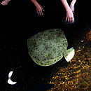 CC image from http://www.flickr.com/photos/cochonou/