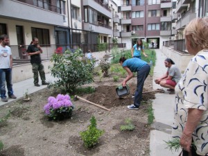 IMG_0020